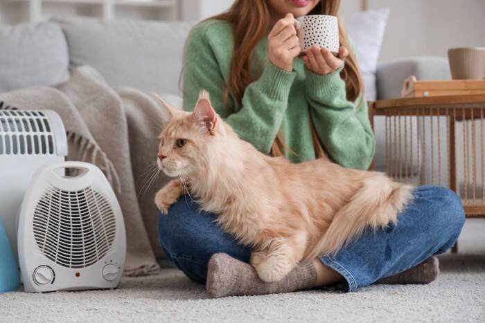 猫の近くで『扇風機』を使うときに注意すべきこと5つ　寒い冬でも効果的な活用術まで