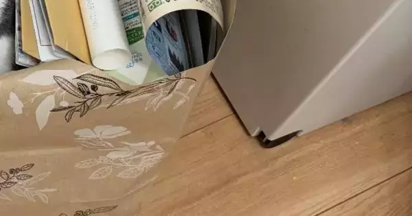 猫に『散らかさないでよー』と声をかけて…しばらく後に様子を見に行った結果→可愛すぎる光景に「いい感じになってるｗ」「いい子だねｗ」と反響