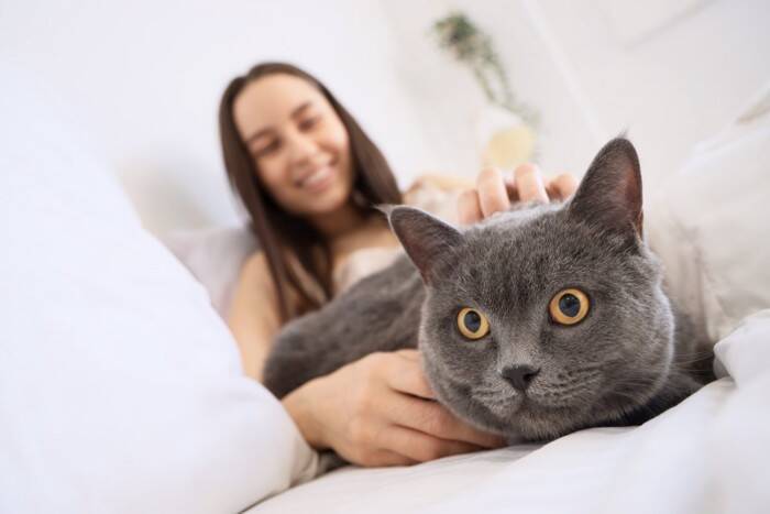 猫が『飼い主に嫌われた』と勘違いするNG行為4選　誤解が生まれる理由から関係回復のポイントまで