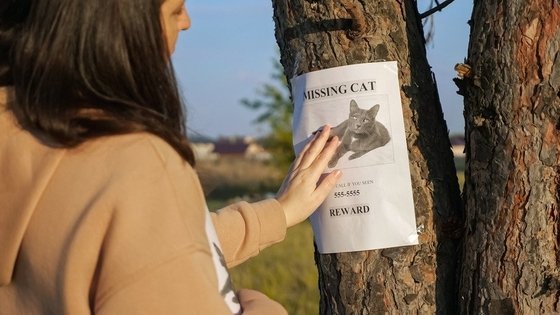 行方不明の愛猫がやっと戻ってきた…その３週間後、もう１匹同じ猫が現れた⁉　飼い主さんの「びっくり体験」にネット民ざわつく