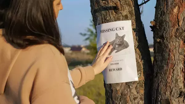 行方不明の愛猫がやっと戻ってきた…その３週間後、もう１匹同じ猫が現れた⁉　飼い主さんの「びっくり体験」にネット民ざわつく