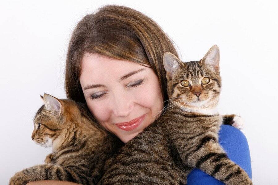 行方不明の愛猫がやっと戻ってきた…その３週間後、もう１匹同じ猫が現れた⁉　飼い主さんの「びっくり体験」にネット民ざわつく