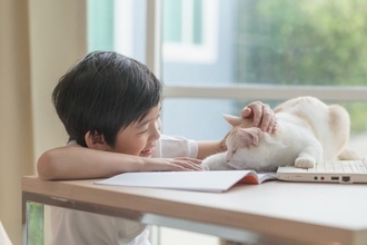 猫は『家族や自分の名前』を聞き分けられるの？　意外な研究結果や理解してもらうコツをご紹介