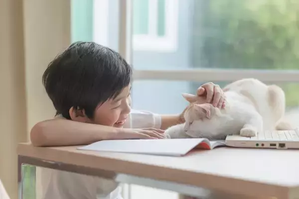 猫は『家族や自分の名前』を聞き分けられるの？　意外な研究結果や理解してもらうコツをご紹介