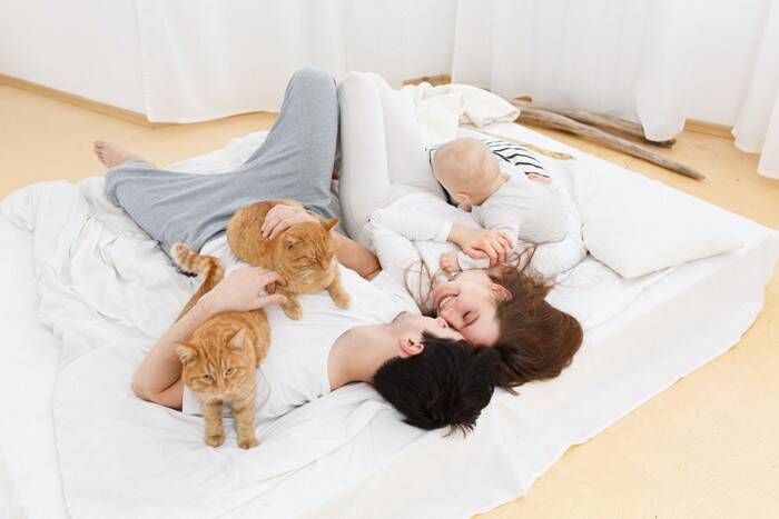 猫は『家族や自分の名前』を聞き分けられるの？　意外な研究結果や理解してもらうコツをご紹介