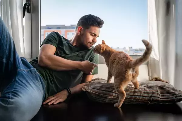 猫たちから『モテるため』に欠かせないこと4選　好まれやすい人の特徴や関わり方のコツ