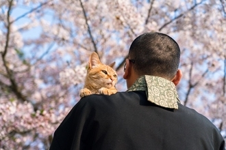 愛猫を亡くした後の『遺骨を供養』する方法4つ　自宅で保管して問題ない？検討できる選択肢とは
