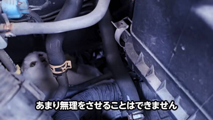 足をケガした子猫が『エンジンルームの中』に……『救出の様子』に涙が止まらないと11万再生「涙があふれた」「本当に感動した」の声