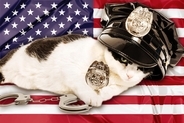 市民の安全を守るのは「猫警察官」ニャン！　米国各地で活躍中の猫ちゃんたち
