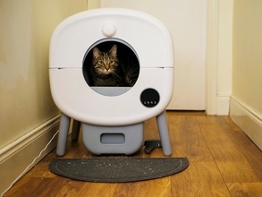 猫の飼い主が『本当に買ってよかった』と実感する猫グッズ4つ　オススメできる理由や便利な使い方もご紹介