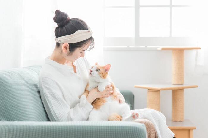 猫の飼い主が『本当に買ってよかった』と実感する猫グッズ4つ　オススメできる理由や便利な使い方もご紹介