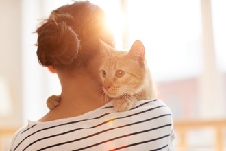 猫の『輪廻転生』についての通説4つ　亡くなった愛猫と再会できる？生まれ変わりを感じる瞬間とは