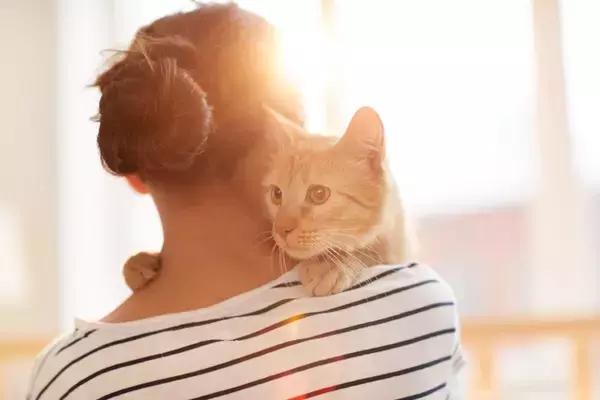猫の『輪廻転生』についての通説4つ　亡くなった愛猫と再会できる？生まれ変わりを感じる瞬間とは