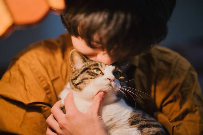猫の『輪廻転生』についての通説4つ　亡くなった愛猫と再会できる？生まれ変わりを感じる瞬間とは
