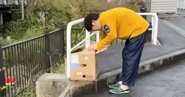 無人駅の前、ダンボールに入れて『捨てられていた子猫』→保護されると…心温まる展開が27万再生「尊い命が救われた」「泣けてくる」