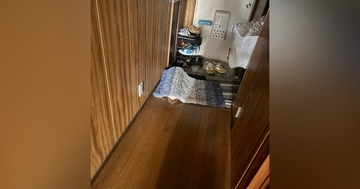 マットの下に『上手く隠れていたはずの猫』…すぐに居場所がバレてしまった『まさかの理由』に２万いいね「ピカピカだったね」「可愛すぎｗ」