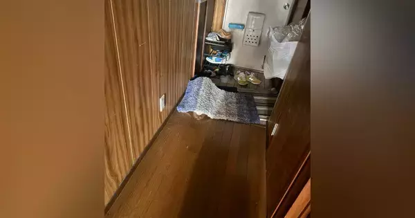 マットの下に『上手く隠れていたはずの猫』…すぐに居場所がバレてしまった『まさかの理由』に２万いいね「ピカピカだったね」「可愛すぎｗ」