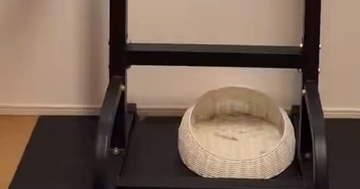 部屋の中を見ると、猫が『まさかの場所』でくつろいでいて……驚きの瞬間に５万いいね「顔ｗｗ」「すっぽりとハマってるｗ」と爆笑の声続出