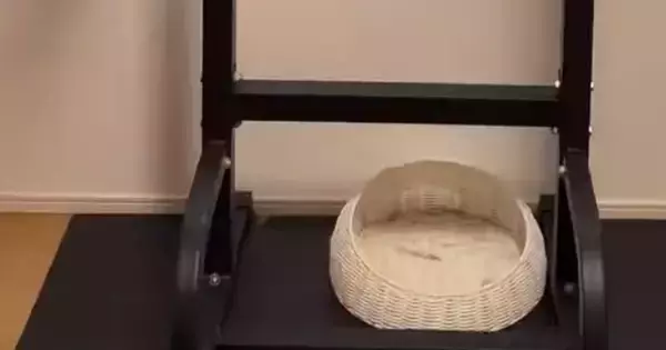 部屋の中を見ると、猫が『まさかの場所』でくつろいでいて……驚きの瞬間に５万いいね「顔ｗｗ」「すっぽりとハマってるｗ」と爆笑の声続出