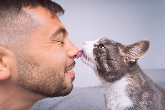 猫があなたのことを『舌で舐める』理由4つ　場所ごとに意味が違う？考えられる心理も解説