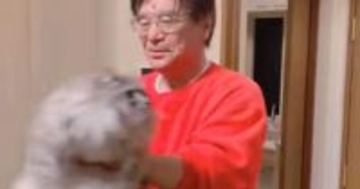 『猫嫌いのパパ』→猫を迎えて１年後…想像もしなかった『まさかの光景』が199万再生「赤ちゃんあやしてるみたいｗ」「愛し方が孫ｗ」