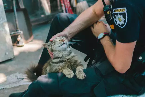 被害者の心のケアを担う「猫警察官」が、テレビ番組の主役になって登場　フランス