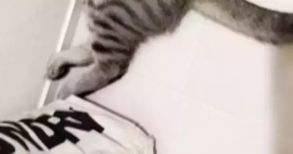 飼い主がお風呂から出てくるのを『待っていた猫』…思わず笑ってしまう『まさかの光景』に反響「可愛いｗｗ」「うらやましいｗ」