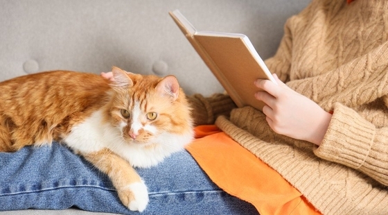 厳しい勉学を支えてくれた愛猫に「マントと角帽」をプレゼント　大学院卒業の記念撮影も一緒に　マレーシア　