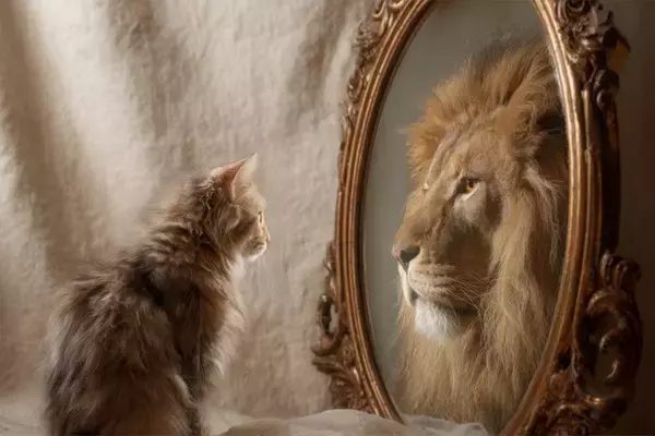 猫が喉を『ゴロゴロ』鳴らしているときの理由4つ　甘えているとは限らない？