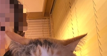 隣に来た愛猫に『撮るよー』と声をかけた結果…想定外な『可愛すぎる反応』に４万いいね「尊すぎて涙が出る」「返事してくれるのいいね」