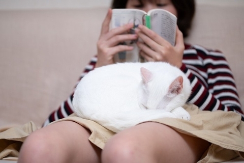 愛猫と『いい関係を維持』するための秘訣5つ　飼い主が心がけるべきこととは