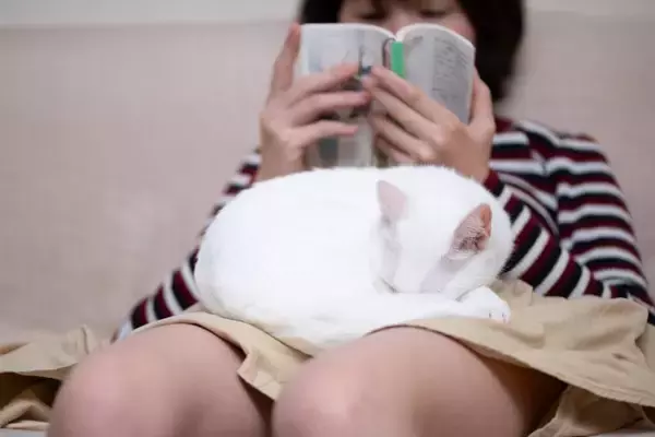 愛猫と『いい関係を維持』するための秘訣5つ　飼い主が心がけるべきこととは