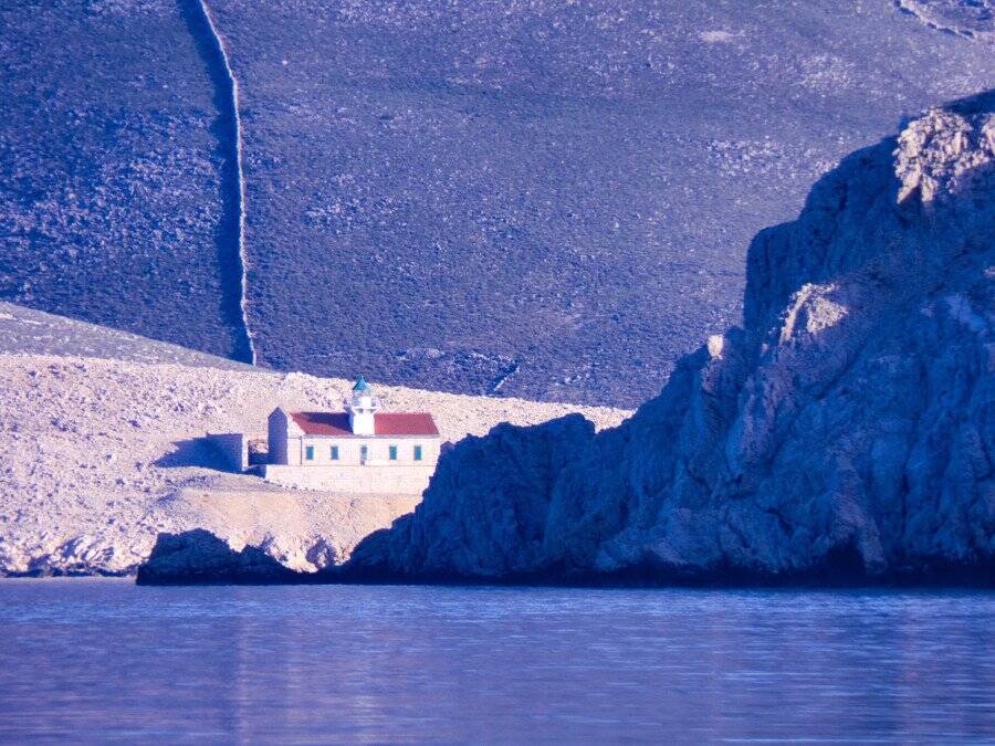 「美しいギリシャの島で、猫に囲まれて生活する」夢が現実になるかも！　海が好きな猫ファンにチャンス到来か