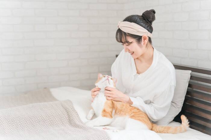 猫とのスキンシップ中にできる『顔の健康チェック』5つ　確認すべきポイントや異変を見つけたときの対処法まで