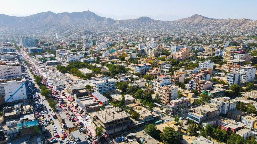 激戦地のアフガニスタンで、兵士の心を支えた猫　家族として米国へ