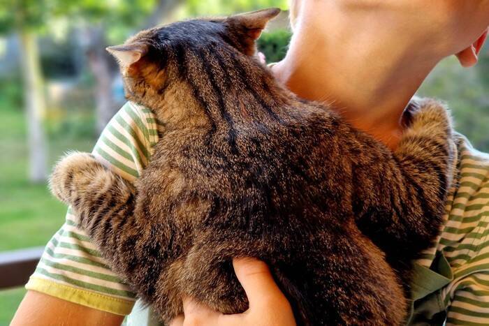 猫があなたの『外出を阻止』している行動5選　引き止める理由や上手な対応をご紹介