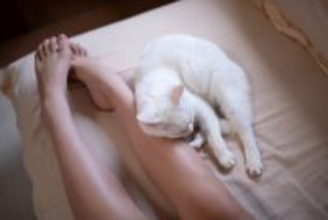 猫に『依存されやすい飼い主』の特徴や習慣5つ　起こりうるトラブルや上手な距離の取り方も