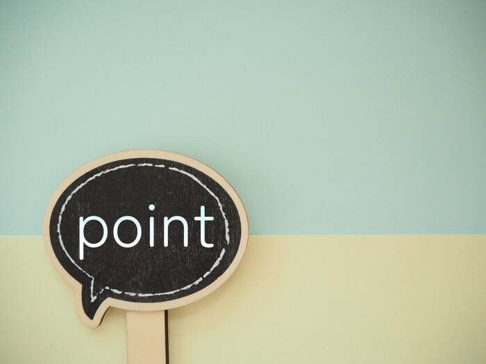 【獣医師執筆】自宅で相談できる時代へ…猫の「オンライン診療」活用ガイド