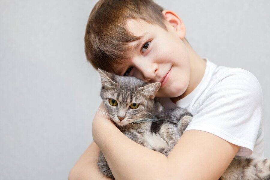 人気の「病院猫」２匹に、出入り禁止命令が！　猫ファンの患者やスタッフは撤回を要求　ニュージーランド