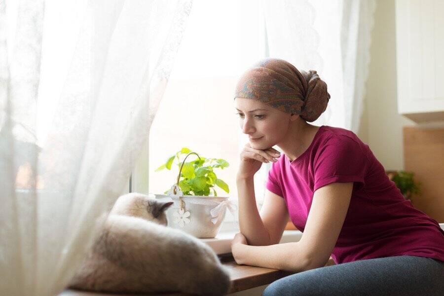 人気の「病院猫」２匹に、出入り禁止命令が！　猫ファンの患者やスタッフは撤回を要求　ニュージーランド