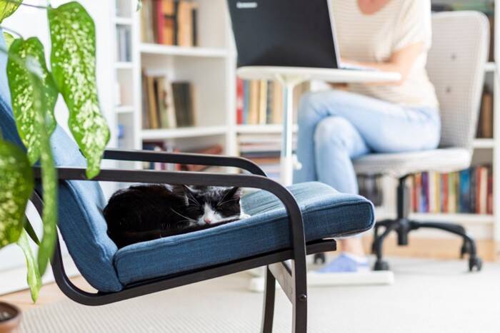 猫が『懐いてくれない人』に当てはまる特徴5つ　やりがちなNG行為や仲良くなるためのコツ