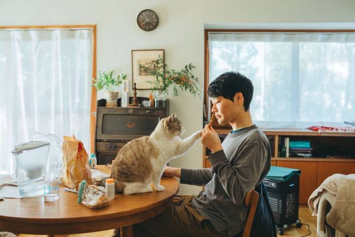 猫を『寝かしつけたい』ときに試せるアイデア4選　夜寝てくれないのはなぜ？心がけたい習慣も