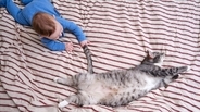 猫が驚いてしまう『飼い主の行動』3選　ストレスを与える理由から信頼関係への影響まで