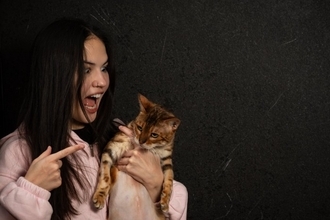 猫に絶対してはいけない『間違ったしつけ方』5選　悪影響を及ぼす理由や正しい教え方を解説