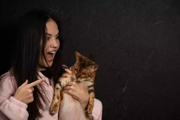 猫に絶対してはいけない『間違ったしつけ方』5選　悪影響を及ぼす理由や正しい教え方を解説