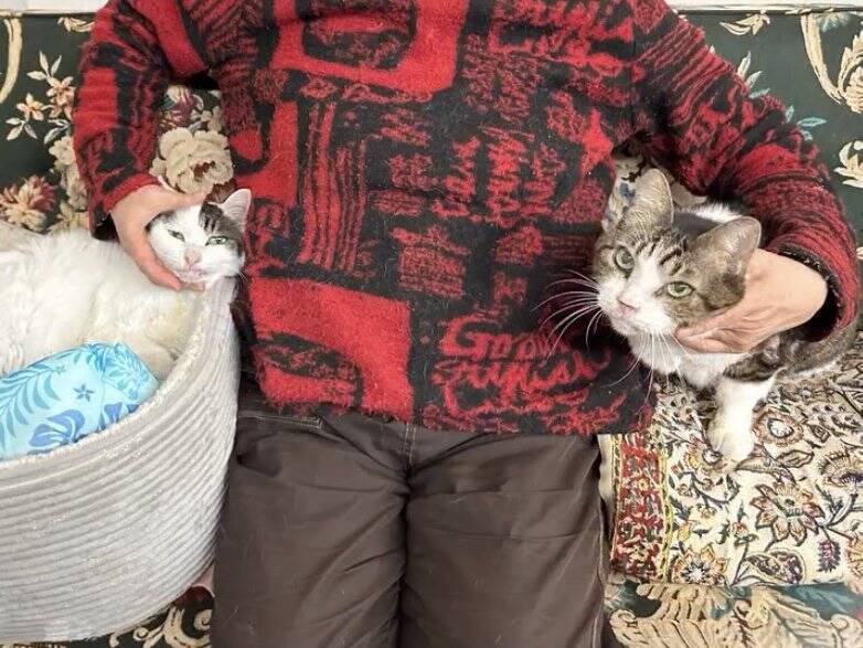 飼い主を亡くし2ヶ月間『壮絶な場所で生きていた高齢猫』が保護された結果…涙せずにはいられない現在の姿に「号泣」「本当にありがとう」の声