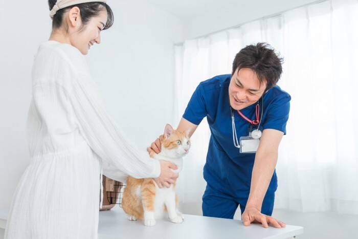 猫を守るために必要な『嫌がられやすい行動』4選　欠かせない理由やストレスを抑える工夫まで