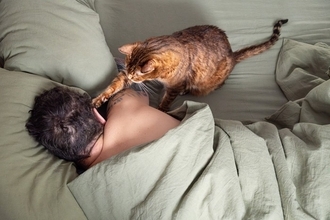 猫があなたにする『ちょっと困る行動』4選　気持ちは嬉しいけど…上手な応え方もご紹介