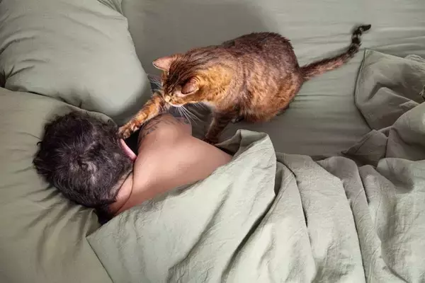 猫があなたにする『ちょっと困る行動』4選　気持ちは嬉しいけど…上手な応え方もご紹介