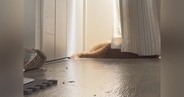 日向ぼっこ中の猫→いつもより早く『飼い主が帰ってきた』結果…気付いた瞬間の反応が可愛すぎると話題「愛おしい」「表情豊かだよね」
